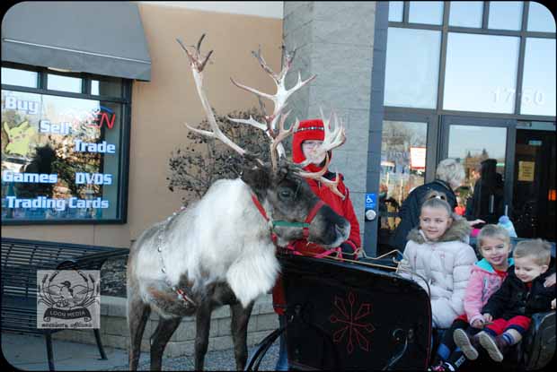 HOLIDAY_LIGHTS_FOR_2017-01_620X415