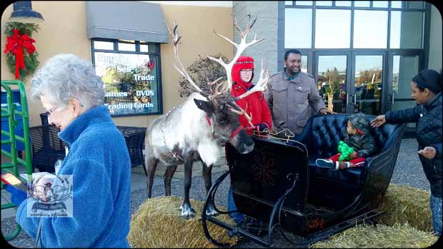 HOLIDAY_LIGHTS_FOR_2017-02_620X349