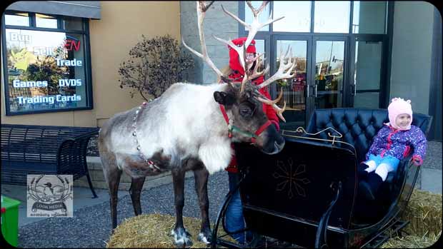 HOLIDAY_LIGHTS_FOR_2017-04_620X349