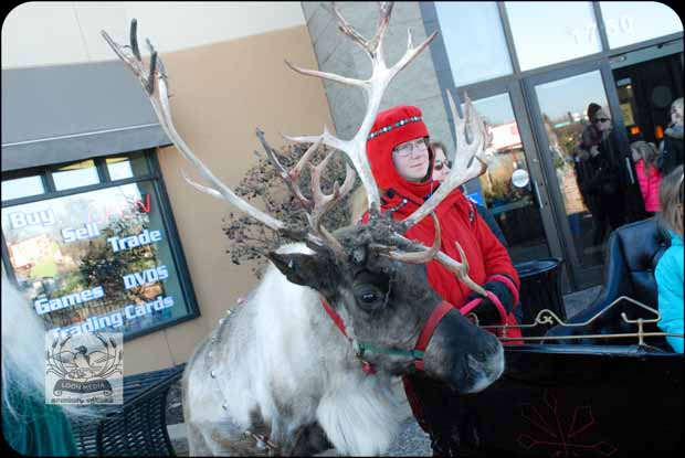 HOLIDAY_LIGHTS_FOR_2017-06_620X415