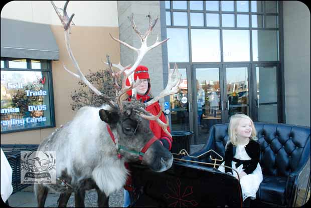 HOLIDAY_LIGHTS_FOR_2017-07_620X415