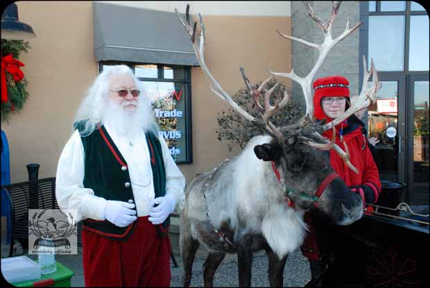 HOLIDAY_LIGHTS_FOR_2017-08_620X415