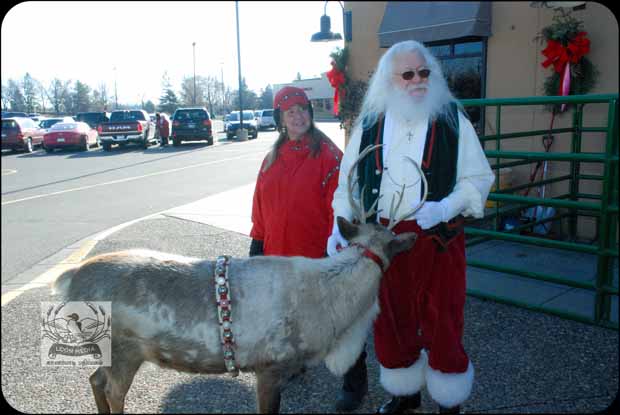 HOLIDAY_LIGHTS_FOR_2017-09_620X415