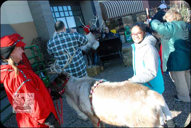 HOLIDAY_LIGHTS_FOR_2017-10_620X415