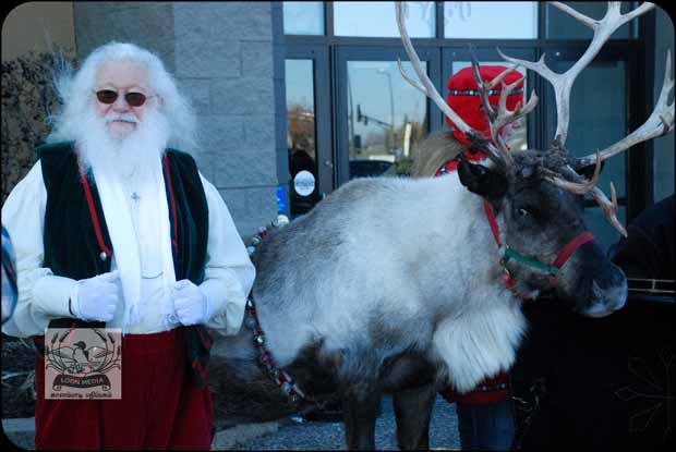 HOLIDAY_LIGHTS_FOR_2017-11_620X415