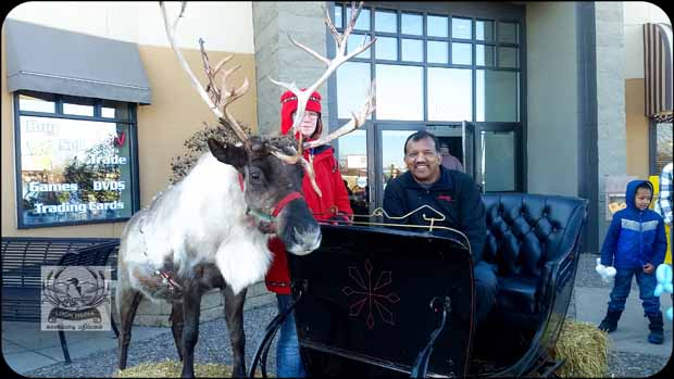 HOLIDAY_LIGHTS_FOR_2017-12_620X415