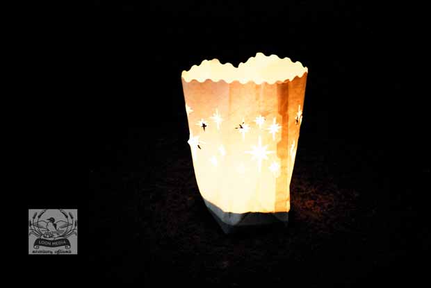 HOLIDAY_LIGHTS_FOR_2017-13_620X415