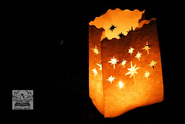 HOLIDAY_LIGHTS_FOR_2017-14_620X415