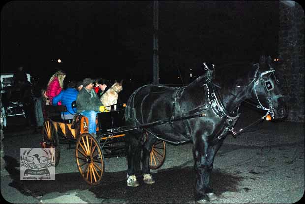 HOLIDAY_LIGHTS_FOR_2017-15_620X415