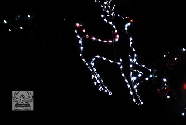 HOLIDAY_LIGHTS_FOR_2017-19_620X415