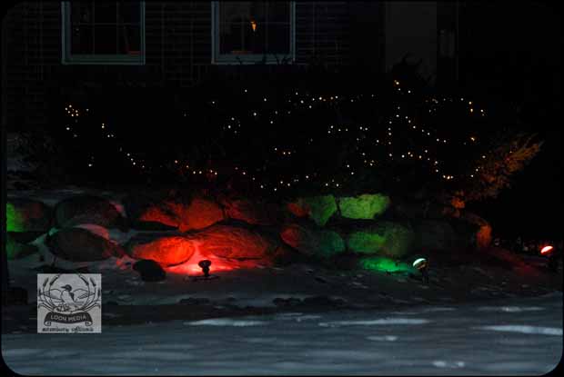 HOLIDAY_LIGHTS_FOR_2017-39_620X415