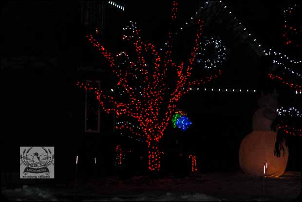 HOLIDAY_LIGHTS_FOR_2017-40_620X415