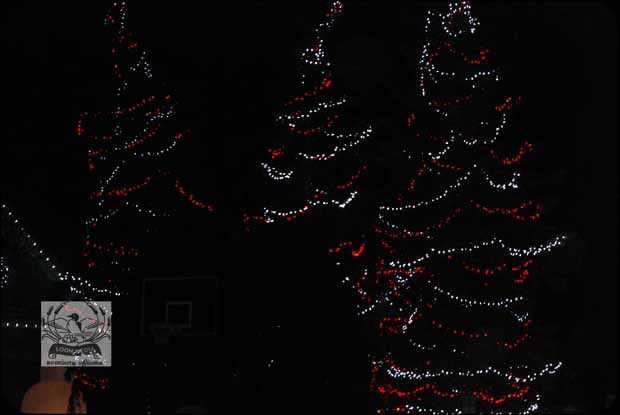 HOLIDAY_LIGHTS_FOR_2017-41_620X415