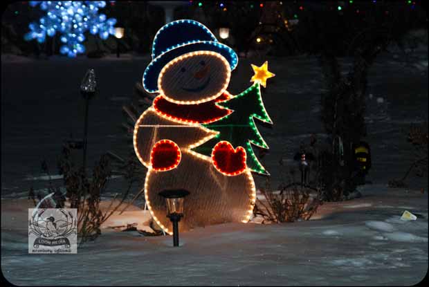 HOLIDAY_LIGHTS_FOR_2017-49_620X415