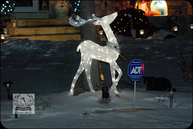 HOLIDAY_LIGHTS_FOR_2017-50_620X415