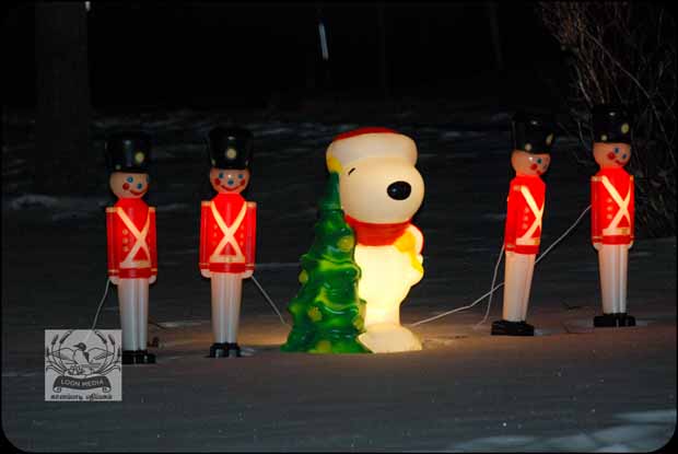 HOLIDAY_LIGHTS_FOR_2017-55_620X415