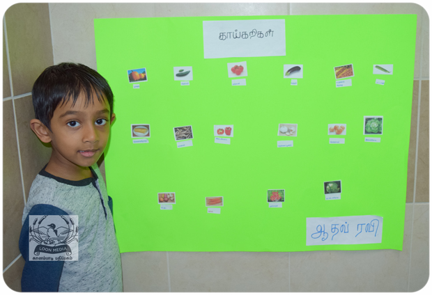 MNTS SCHOOL VIZHA 2019-010-JC_620x424