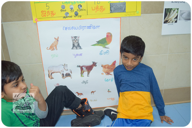MNTS SCHOOL VIZHA 2019-029-JC_620x413