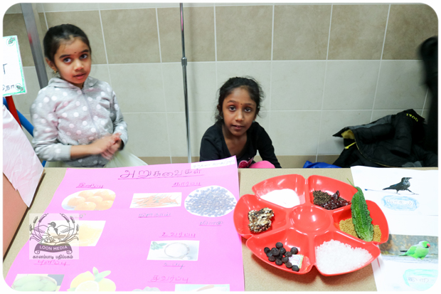 MNTS SCHOOL VIZHA 2019-04-JC_620x413