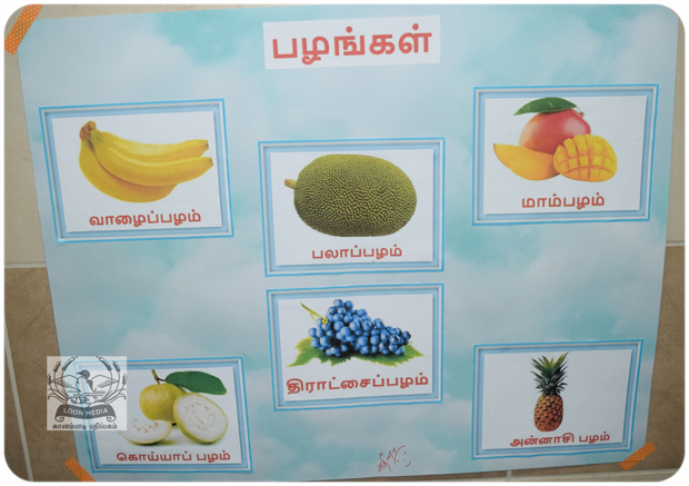 MNTS SCHOOL VIZHA 2019-054-JC_620x437