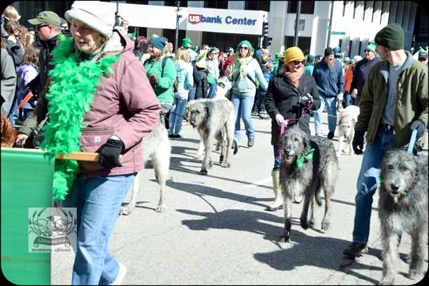ST PATRICK_s DAY2019 210-E_620x413
