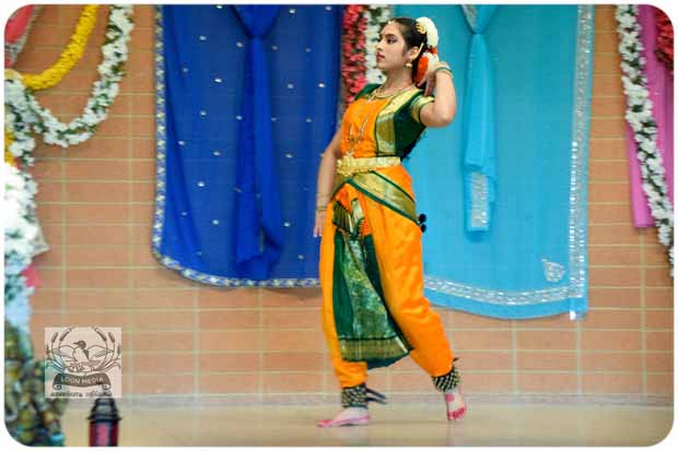 CHINMAYA COLORWEAVE 2019 116-E_620x413