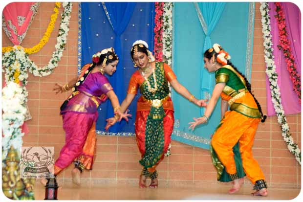 CHINMAYA COLORWEAVE 2019 206-E_620x413