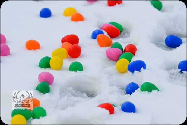 EASTER EGG HUNT 2019 WOODBURY APR2019 009-E_620x413
