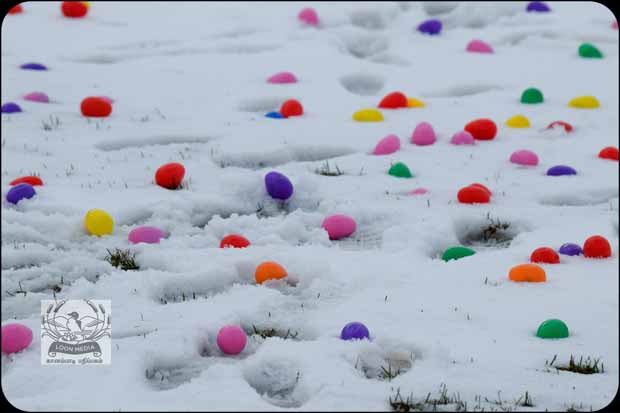 EASTER EGG HUNT 2019 WOODBURY APR2019 069-E_620x413