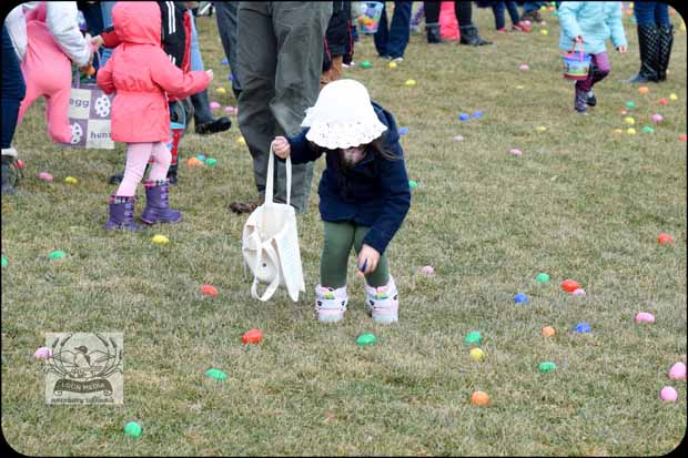EASTER EGG HUNT 2019 WOODBURY APR2019 185-E_620x413