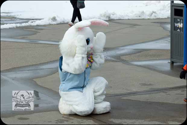 EASTER EGG HUNT 2019 WOODBURY APR2019 231-E_620x413