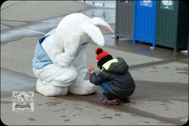 EASTER EGG HUNT 2019 WOODBURY APR2019 243-E_620x413