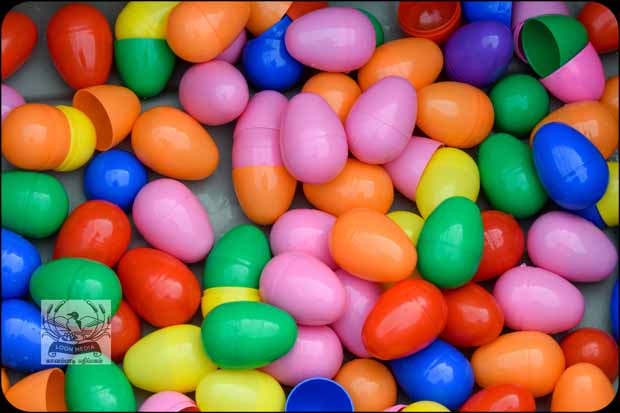 EASTER EGG HUNT 2019 WOODBURY APR2019 246-E_620x413