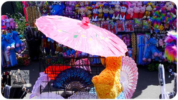 STATE FAIR 2019 - 007-E 620x349