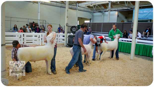 STATE FAIR 2019 - 140-E 620x349