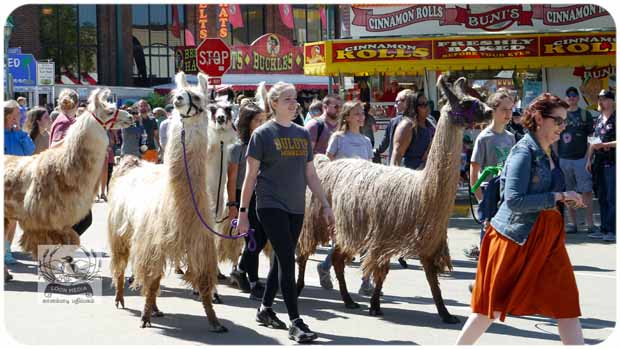 STATE FAIR 2019 - 144-E 620x349