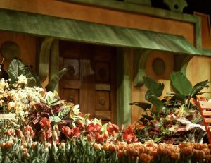 MaceysFlowerShow_2_520x401