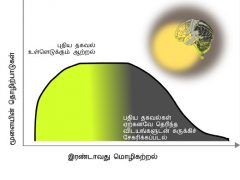 மூளைவளர்ச்சியும் மொழி கற்றலும் மூளைவளர்ச்சியும் மொழி கற்றலும்