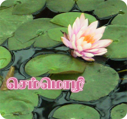 உலகச் செம்மொழி – அத்தியாயம் 18