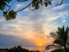 விடியல் விடியல்