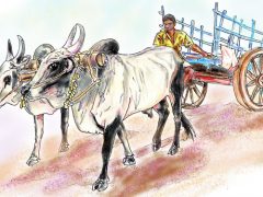 நானே ராசா நானே மந்திரி நானே ராசா நானே மந்திரி