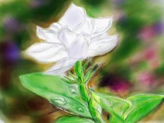 சென்ரியு கவிதைகள் சென்ரியு கவிதைகள்