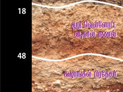 பூந்தோட்டம் பராமரித்தல்: களிமண் பூந்தோட்டம் பராமரித்தல்: களிமண்