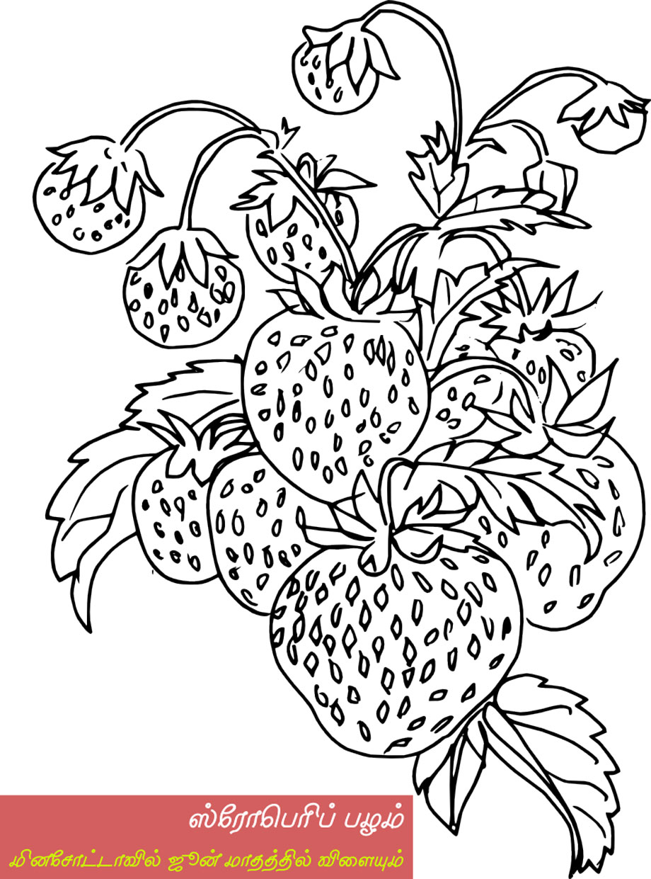 kids_color_it_strawberry_920x1241