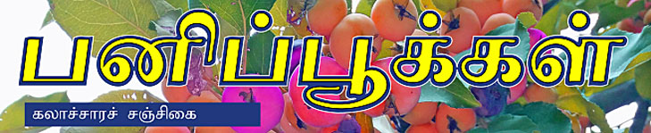 பனிப்பூக்கள்