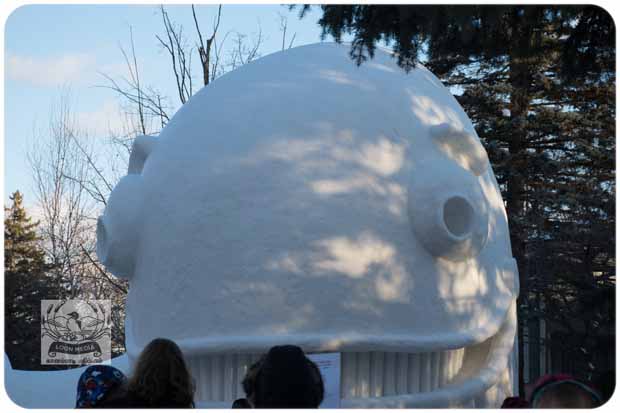 BARTZSNOW JAN2020 - 02-E_620x413