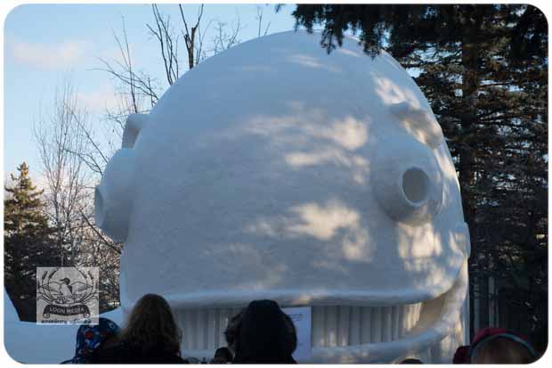 BARTZSNOW JAN2020 - 03-E_620x413