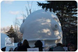 BARTZSNOW JAN2020 - 04-E_620x413