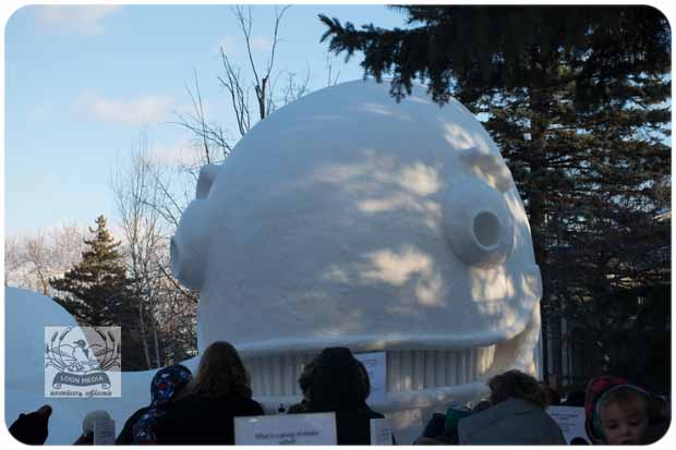 BARTZSNOW JAN2020 - 04-E_620x413