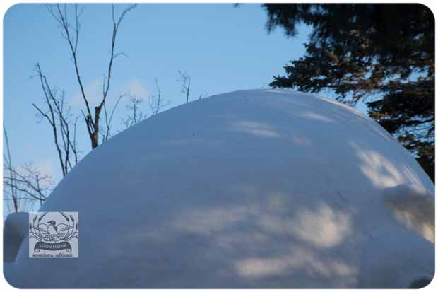 BARTZSNOW JAN2020 - 05-E_620x413